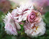 Miracle of a Rose by Carol Cavalaris - diamond-painting-bliss.myshopify.com