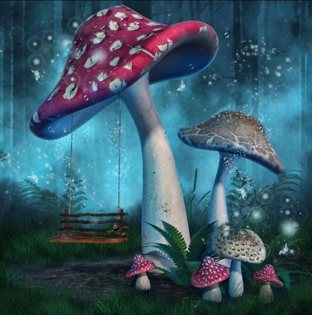 Mushroom World - Land of Fairies - diamond-painting-bliss.myshopify.com