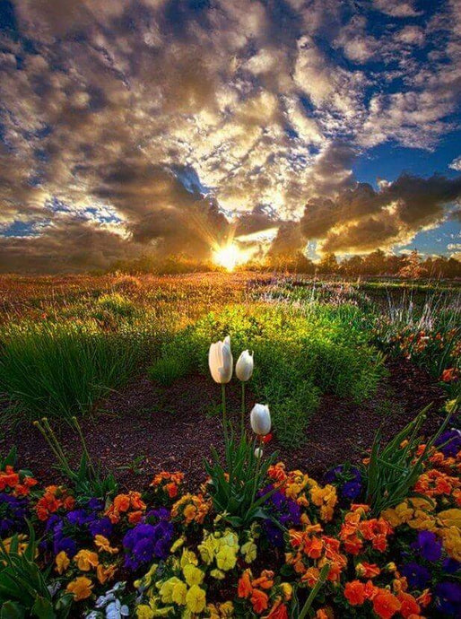 Nature in Heaven - diamond-painting-bliss.myshopify.com