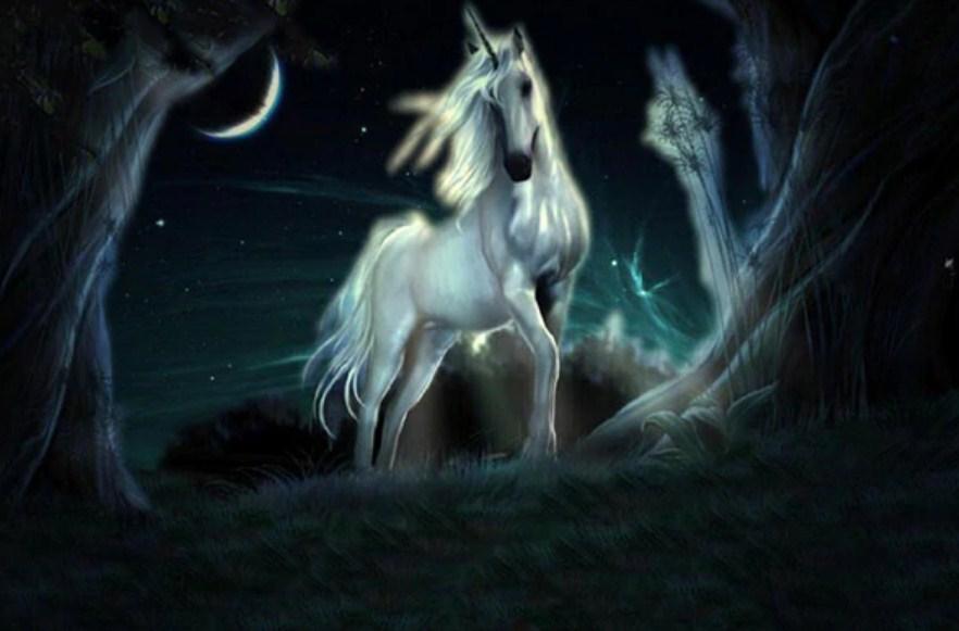 Night Sky & Stunning Unicorn - diamond-painting-bliss.myshopify.com