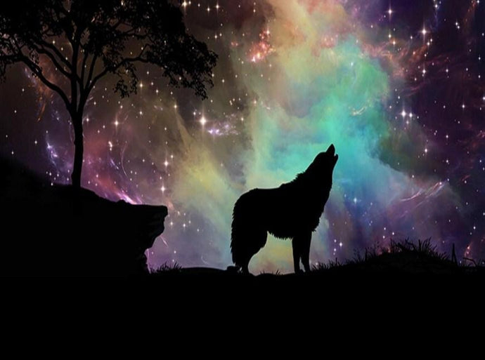 Northern Lights & Howling Wolf - diamond-painting-bliss.myshopify.com