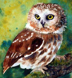 Northern Saw-Whet Owl Diamond Painting - diamond-painting-bliss.myshopify.com