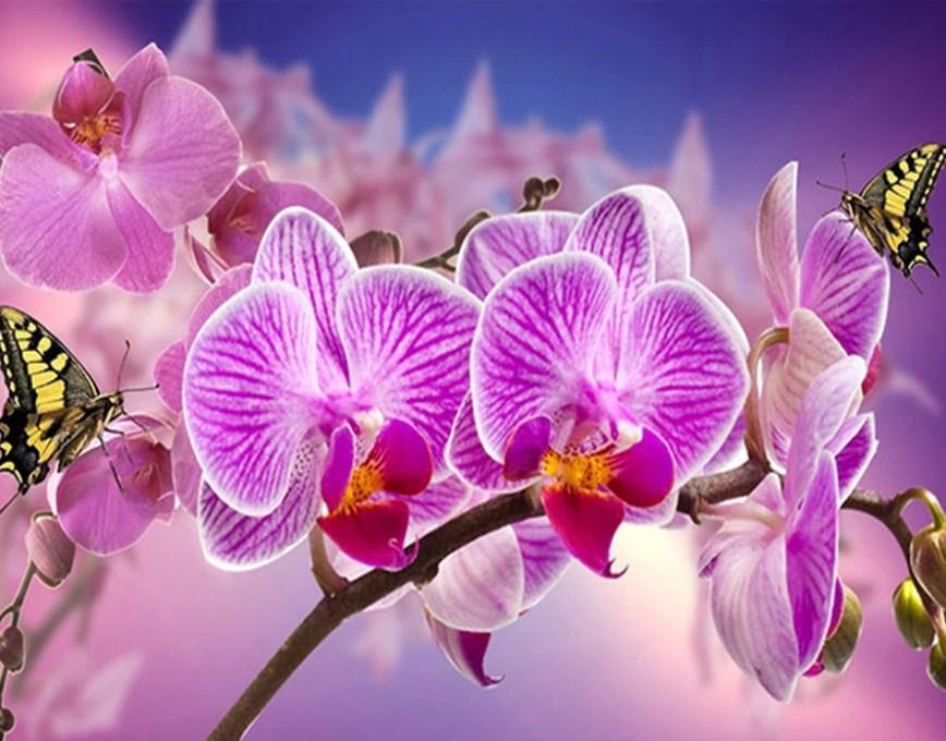 Orchids & Butterflies Painting Kit - diamond-painting-bliss.myshopify.com