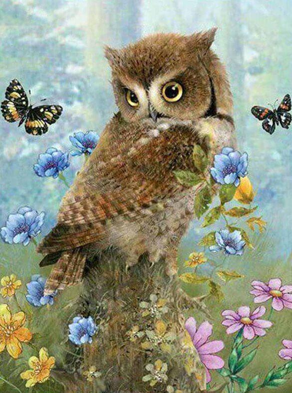 Owl & Butterflies - diamond-painting-bliss.myshopify.com