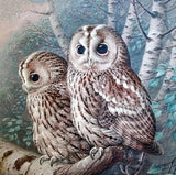 Owl Couple DIY Painting - diamond-painting-bliss.myshopify.com