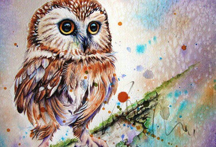 Owl DIY Painting Kit - diamond-painting-bliss.myshopify.com