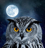 Owl & Full Moon Night - diamond-painting-bliss.myshopify.com