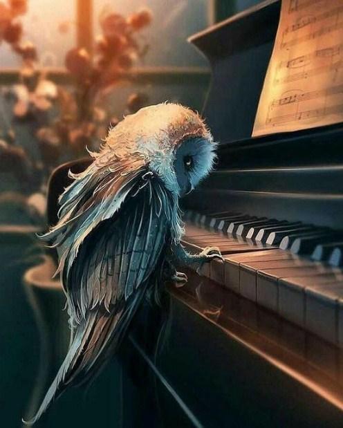 Owl Playing Piano - diamond-painting-bliss.myshopify.com