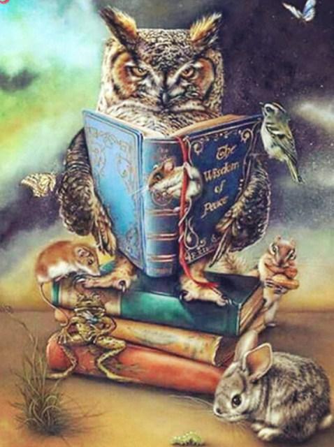 Owl Reading Book Diamond Painting kit - diamond-painting-bliss.myshopify.com