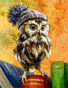 Owl with Cap - diamond-painting-bliss.myshopify.com