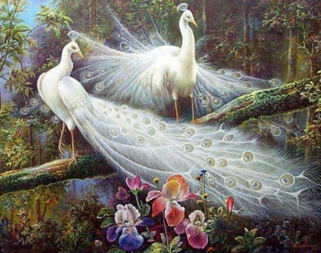 Pair of White Peacocks - diamond-painting-bliss.myshopify.com