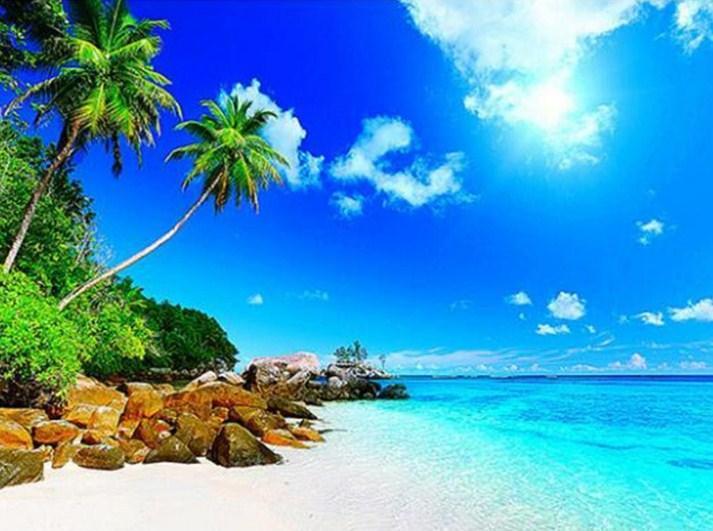 Palm Trees & Blue Ocean - diamond-painting-bliss.myshopify.com