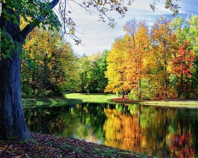 Peaceful View - Diamond Painting Kit - diamond-painting-bliss.myshopify.com