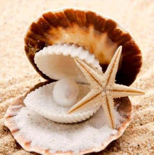 Pearl in the Oyster Diamond Painting - diamond-painting-bliss.myshopify.com