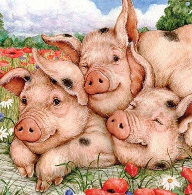 Pig Family - Paint by Diamonds - diamond-painting-bliss.myshopify.com