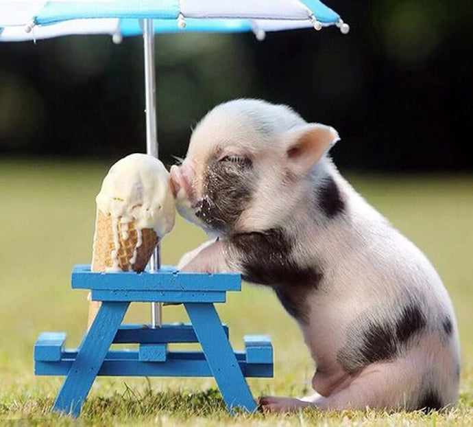 Pig Licking Ice Cream Cone - diamond-painting-bliss.myshopify.com