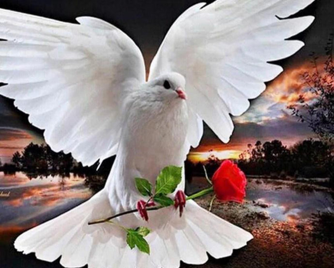 Pigeon with Red Rose - diamond-painting-bliss.myshopify.com