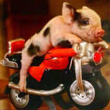 Piggy on Little Bike - diamond-painting-bliss.myshopify.com