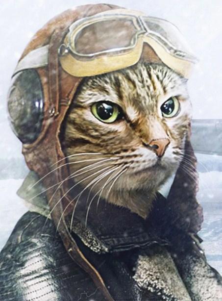 Pilot Cat Diamond Painting Kit - diamond-painting-bliss.myshopify.com