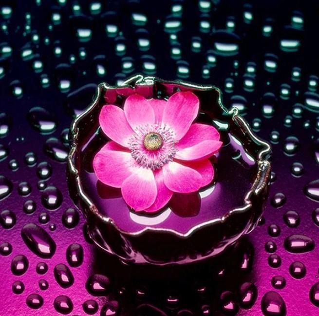 Pink Flower in Water & Raindrops - diamond-painting-bliss.myshopify.com