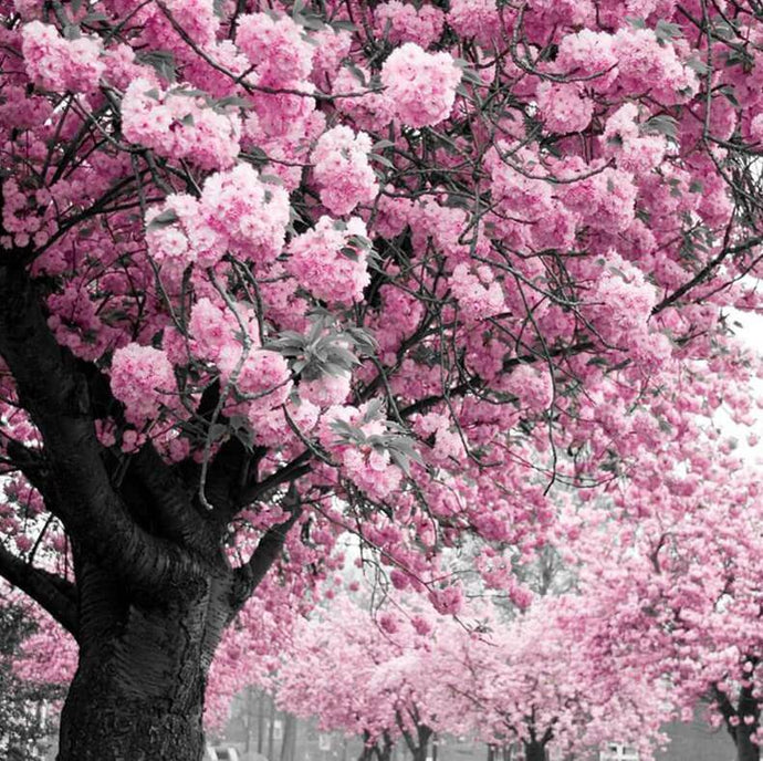 Pink Tree Diamond Painting Kit - diamond-painting-bliss.myshopify.com