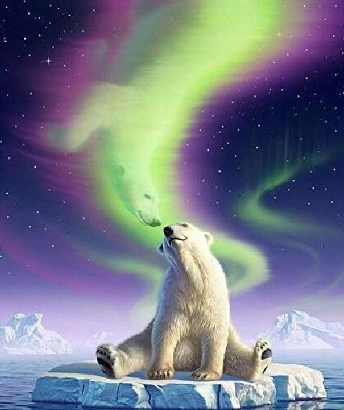 Polar Bear Northern Lights Fantasy - diamond-painting-bliss.myshopify.com