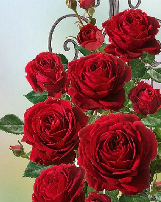 Pretty Red Roses Diamond Painting - diamond-painting-bliss.myshopify.com