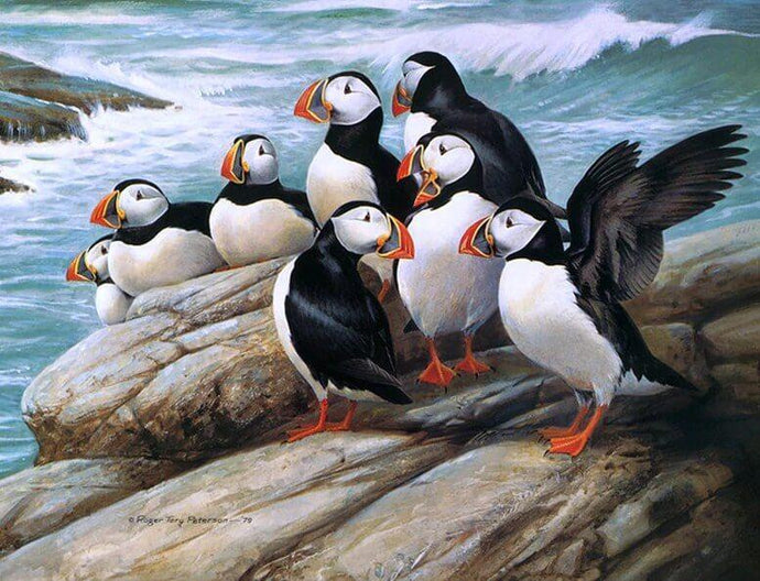 Puffins Diamond Painting Kit - diamond-painting-bliss.myshopify.com