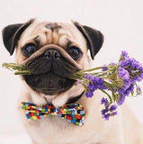 Pug Dog with Flowers - diamond-painting-bliss.myshopify.com