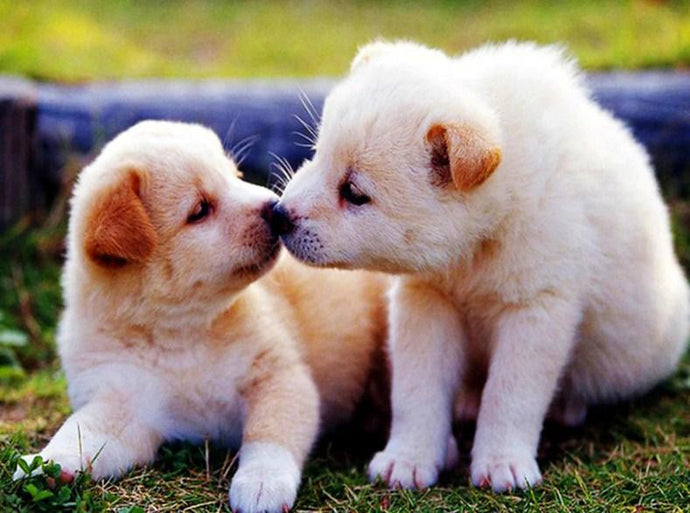 Puppies Kissing - Paint with Diamonds - diamond-painting-bliss.myshopify.com