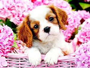 Puppy in Flower Basket - diamond-painting-bliss.myshopify.com