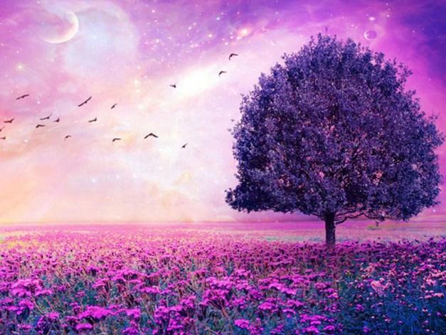 Purple Nature - Paint with Diamonds - diamond-painting-bliss.myshopify.com
