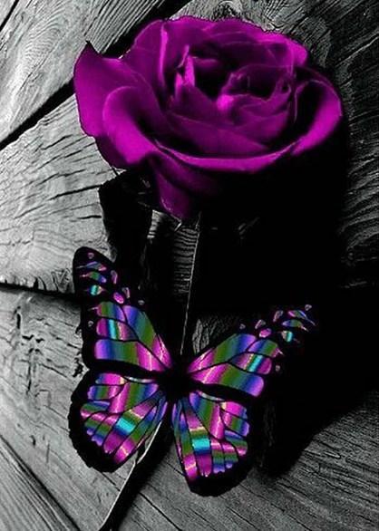 Purple Rose & Butterfly - diamond-painting-bliss.myshopify.com