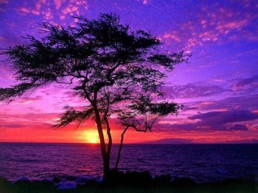Purple Sunset in Hawaii - diamond-painting-bliss.myshopify.com