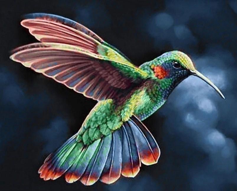 Rainbow Humming Bird - diamond-painting-bliss.myshopify.com