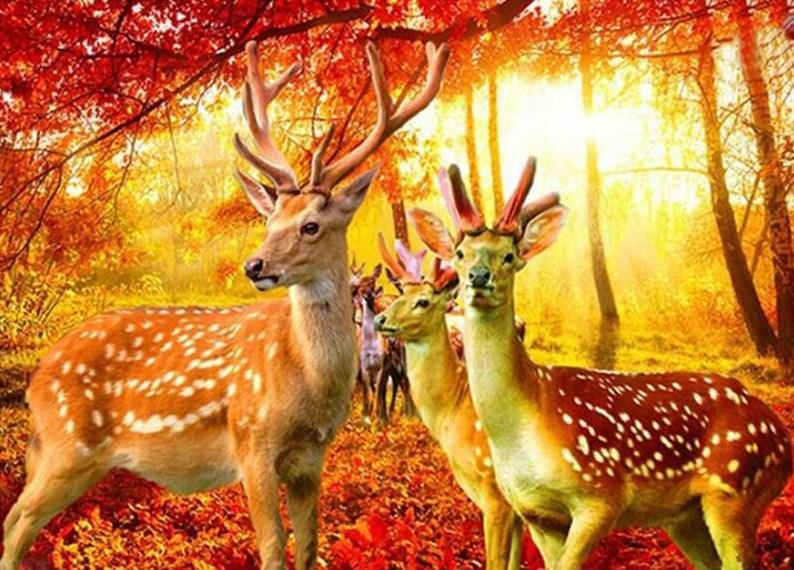Red Autumn Forest & Deer Diamond Painting - diamond-painting-bliss.myshopify.com