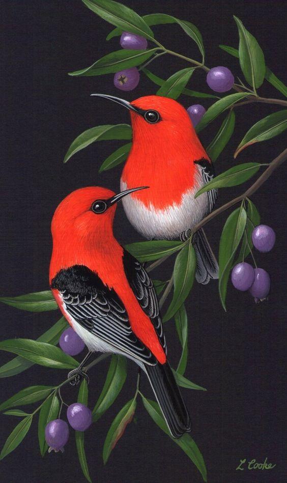 Red & Black birds - diamond-painting-bliss.myshopify.com