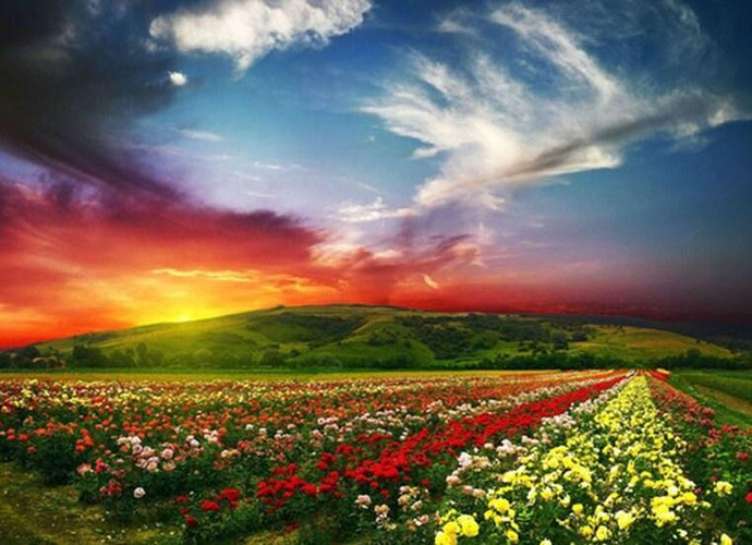Red Sky & Flower Beds - diamond-painting-bliss.myshopify.com