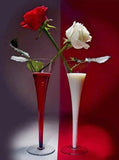 Red & White Roses - diamond-painting-bliss.myshopify.com