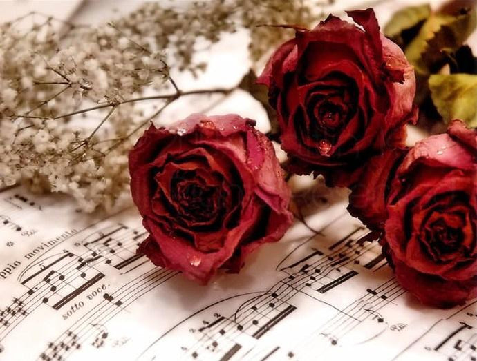 Roses DIY Painting Kit - diamond-painting-bliss.myshopify.com