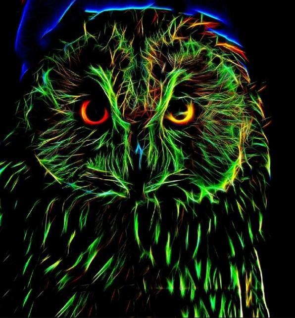 Screech Owl - Paint by Diamonds - diamond-painting-bliss.myshopify.com