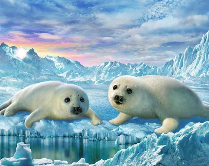 Seals Pair - Paint by Diamonds - diamond-painting-bliss.myshopify.com