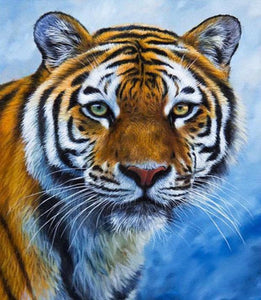 Serene Tiger - Diamond Painting Kit - diamond-painting-bliss.myshopify.com