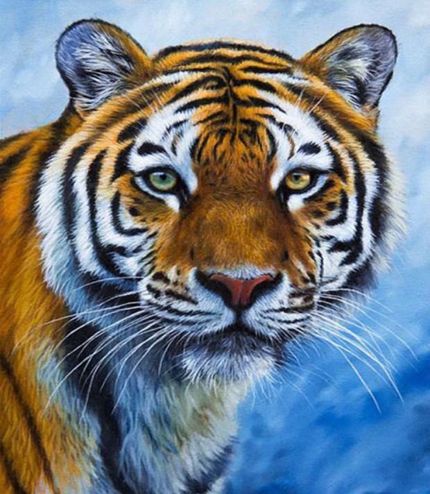 Serene Tiger - Diamond Painting Kit - diamond-painting-bliss.myshopify.com
