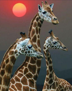 Setting Sun & Giraffe Family - diamond-painting-bliss.myshopify.com
