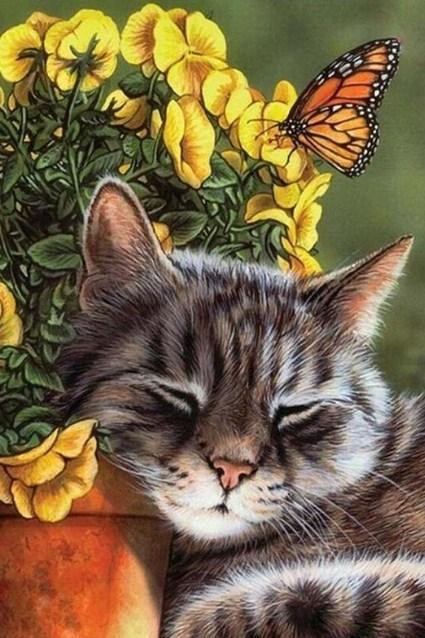 Sleeping Cat - Paint by Diamonds - diamond-painting-bliss.myshopify.com