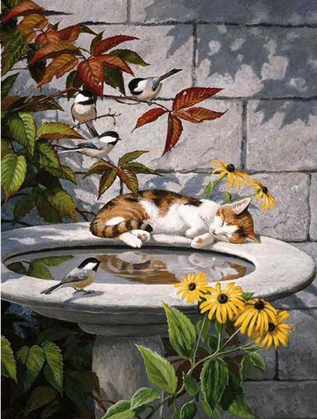 Sleeping Cat & Birds - diamond-painting-bliss.myshopify.com