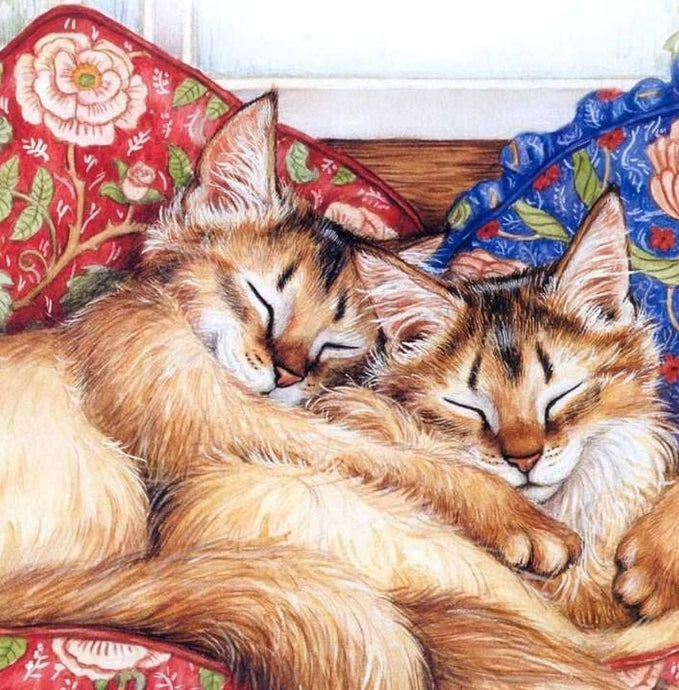 Sleeping Cats - Diamond Painting Kit - diamond-painting-bliss.myshopify.com