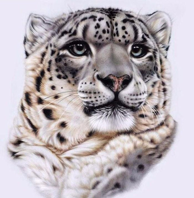 Snow Leopard Face Diamond Painting - diamond-painting-bliss.myshopify.com