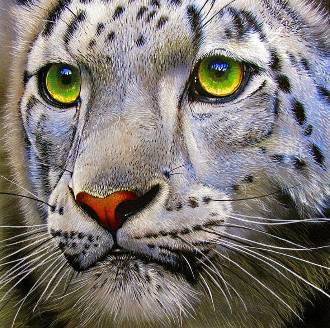 Snow Leopard with Green Eyes - diamond-painting-bliss.myshopify.com
